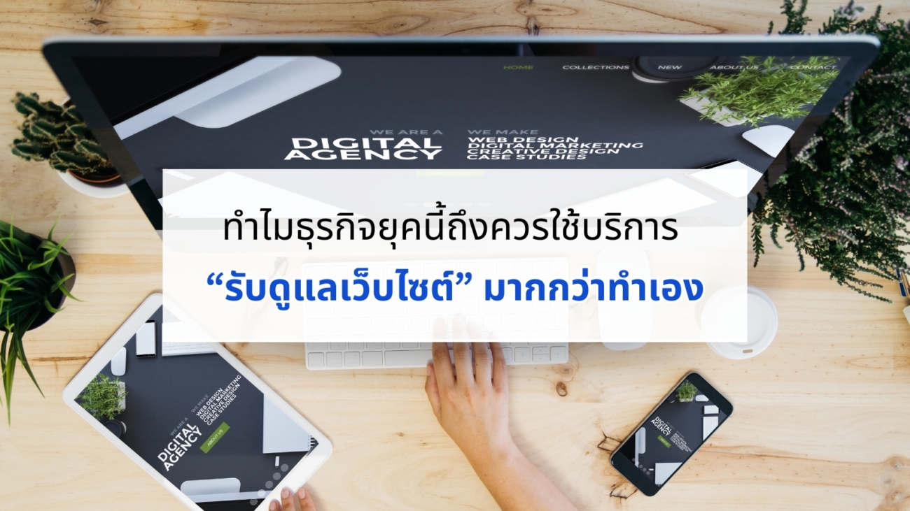 รับดูแลเว็บไซต์