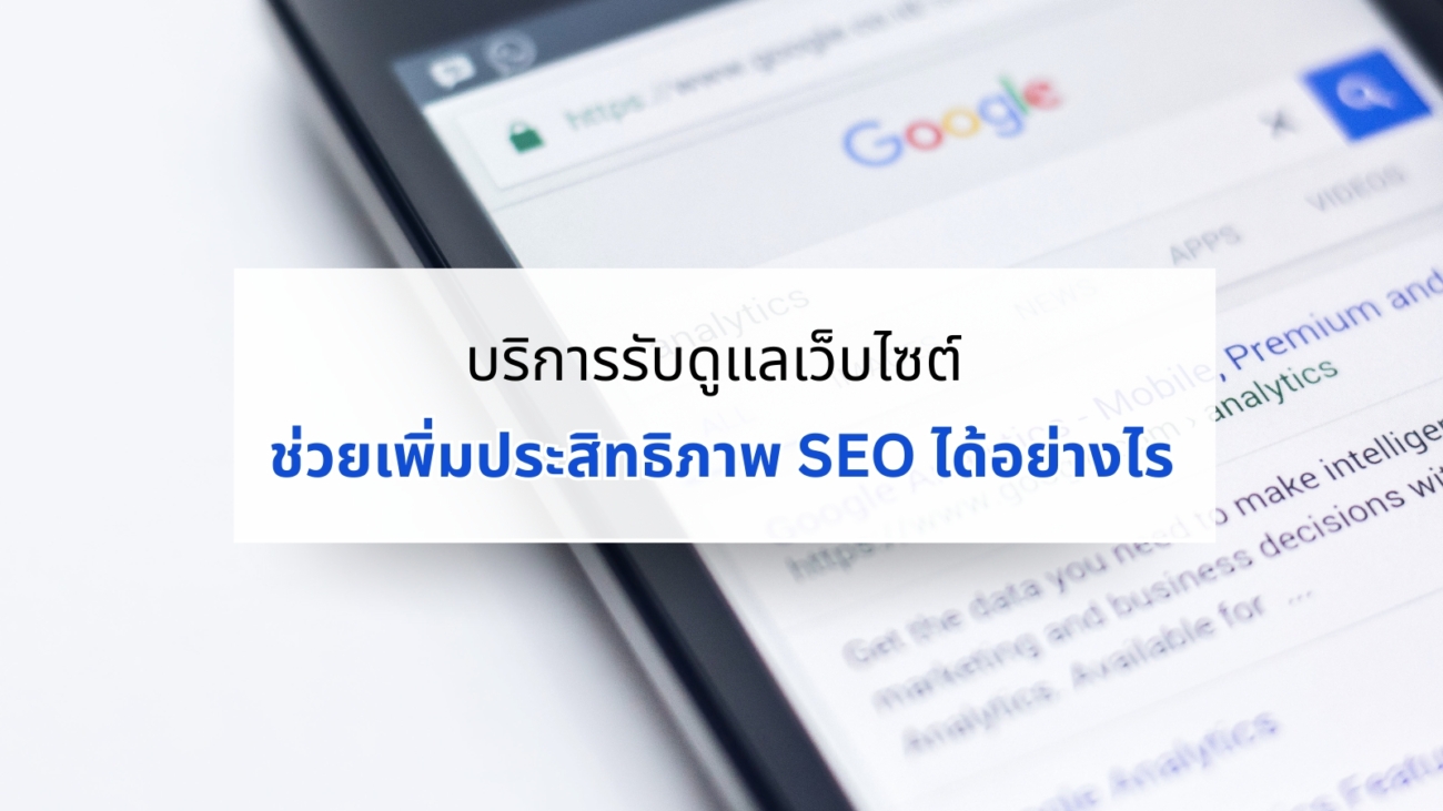 รับดูแลเว็บไซต์