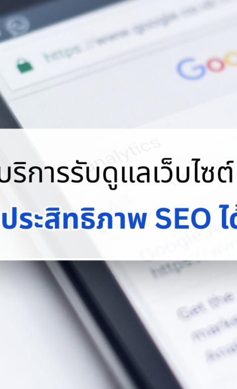 รับดูแลเว็บไซต์