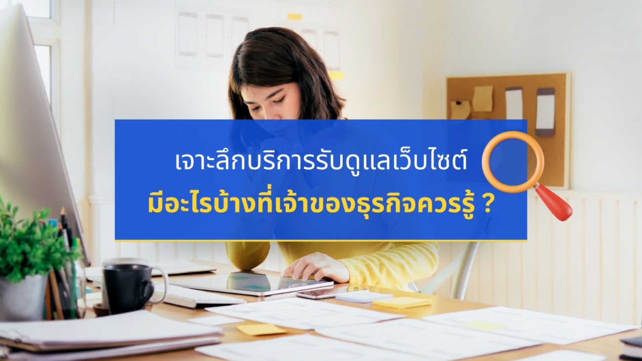 รับดูแลเว็บไซต์